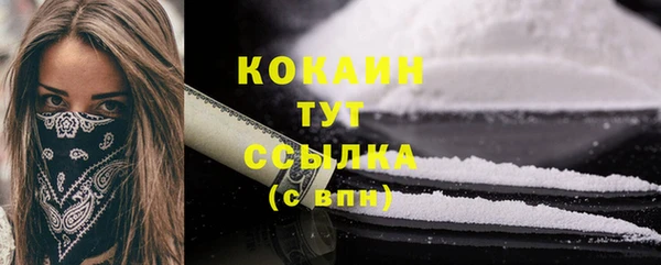 2c-b Бородино