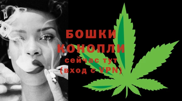 2c-b Бородино