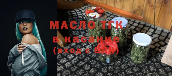 2c-b Бородино