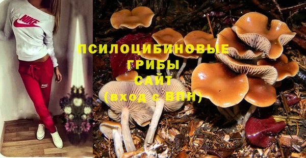 2c-b Бородино