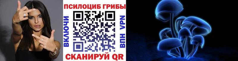 Купить  Бежецк  Псилоцибиновые грибы MAGIC MUSHROOMS 